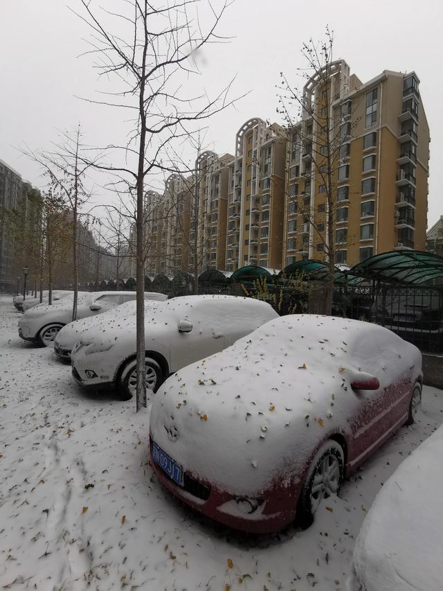 冰雹能把车砸坏吗视频（30个冰雹坑修复多少钱）