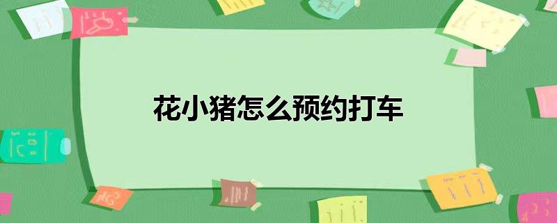 微信花小猪怎么预约打车，哪个平台可以提前预约车